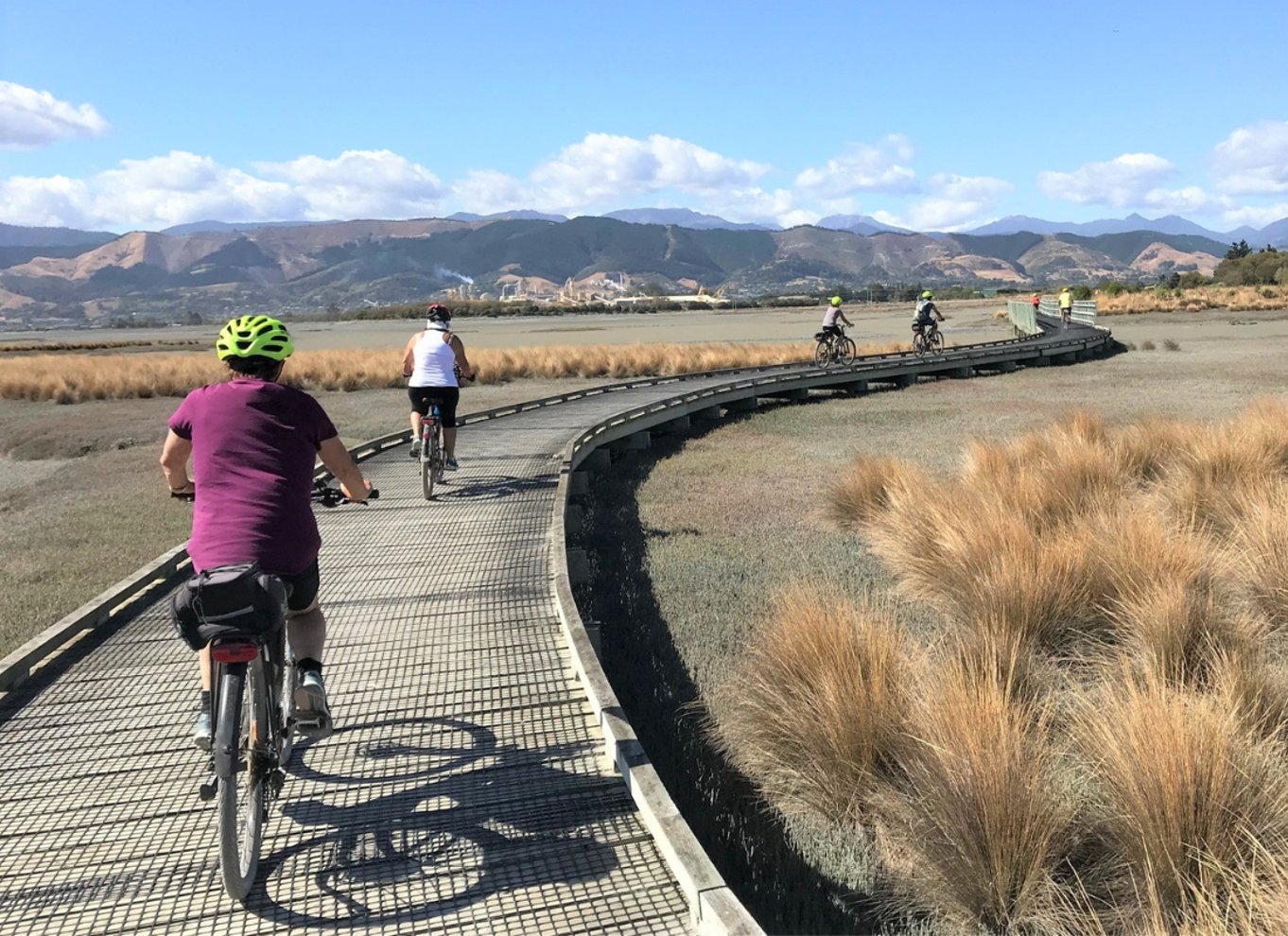 Nelson til Mapua: Heldags cykeleventyr med egen guide