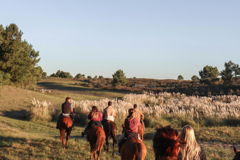 Dragør: Amager Fælled Scenic Horseback Riding Tour