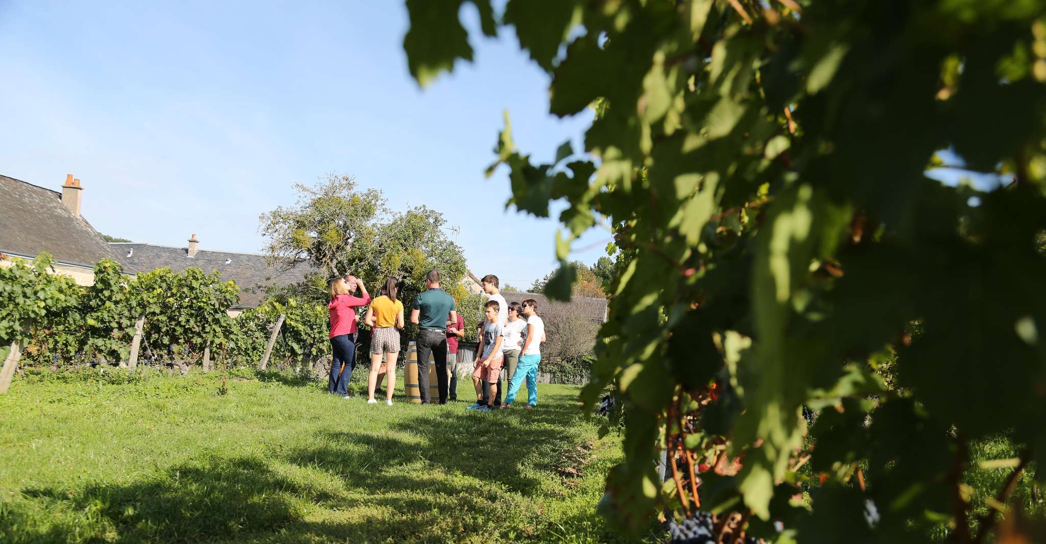 Full day wine tour with lunch at the winery , Vouvray&Chinon - Housity