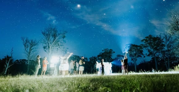 Southern Highlands: Nocturnal Wildlife Experience