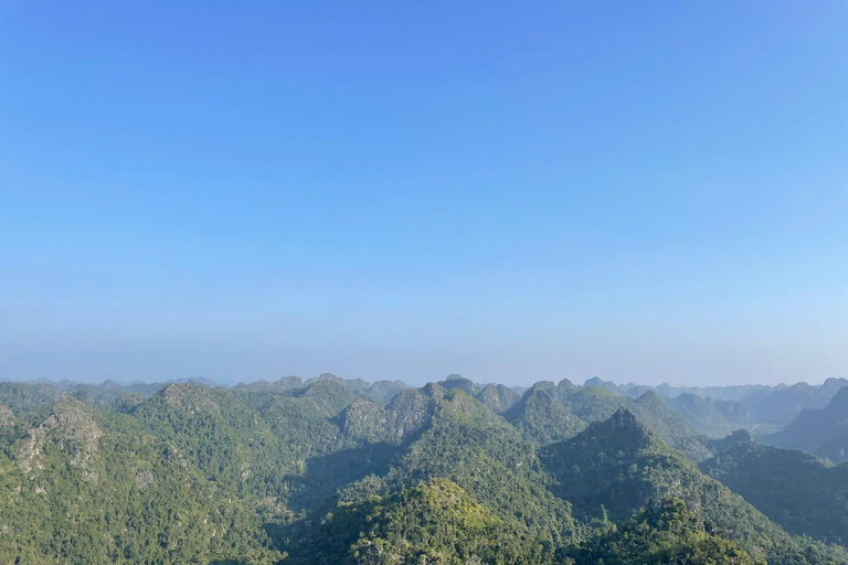 Half day Hiking Cat Ba National Park With guide