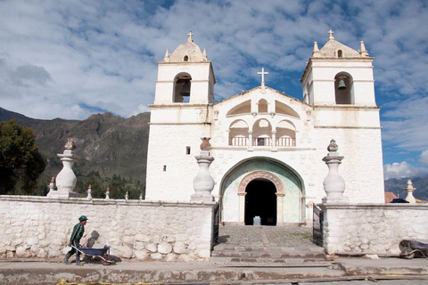 From Arequipa: Colca Canyon and Condor Watching Day Trip