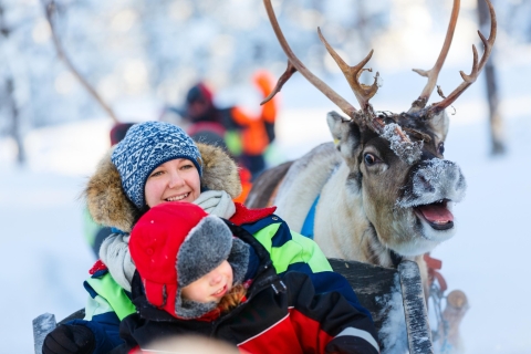 Levi : 1,5 km de traîneau à rennes dans la forêt enneigée de KermikkäKermikkä - environ 1,5 km de traîneau à rennes dans une forêt enneigée