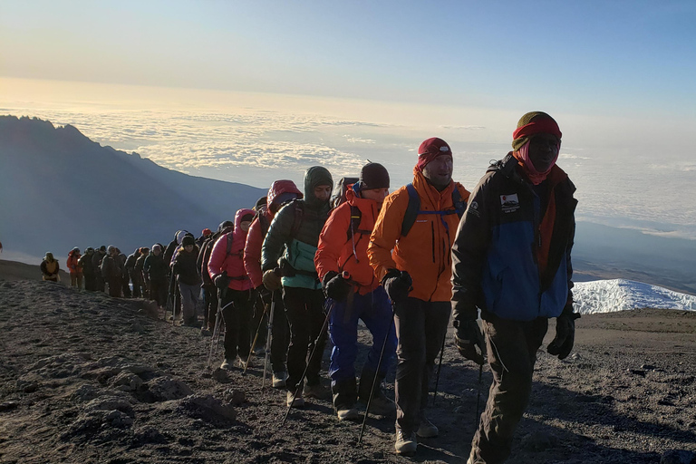 乞力马扎罗：莱莫肖路线徒步含机场接送乞力马扎罗：莱莫肖路线徒步之旅（含机场接送）