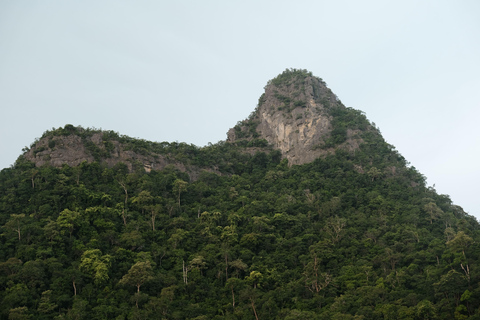 Langkawi : visite privée de 2 heures dans la mangrove avec transfert depuis l&#039;hôtelGroupe de 6 personnes (par bateau)
