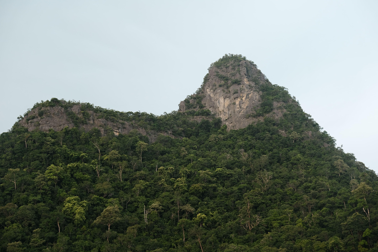 Langkawi : visite privée de 2 heures dans la mangrove avec transfert depuis l&#039;hôtelGroupe de 6 personnes (par bateau)