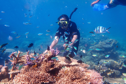 Sharm El Sheikh : Ras Mohamed Snorkelling &amp; Magic Lake Tour