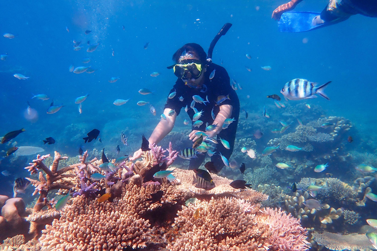 Sharm El Sheikh: Snorkling i Ras Mohamed och rundtur i den magiska sjön