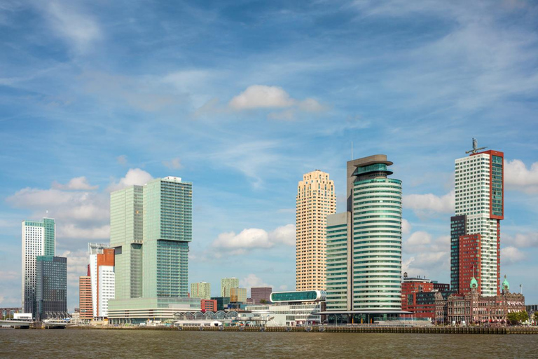 Rotterdam Discovery Walk: Ikonische Märkte und moderne Wunderwerke