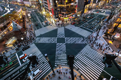 Tokyo: Tokyo Full Day Private Customizable Tour with Guide