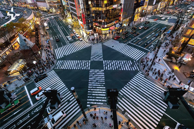 Tokyo: Tokyo Full Day Private Customizable Tour with Guide