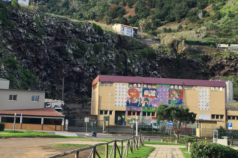 جولة يوم كامل في جزيرة ماديراجولة جزيرة ماديرا ليوم كامل