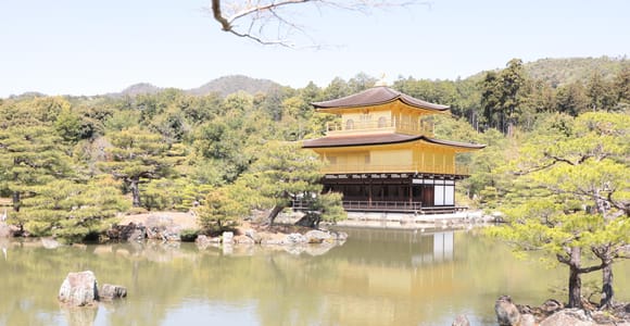 Kyoto: E-Bike Tour of Palace, Castle, Temples & Hidden Gems