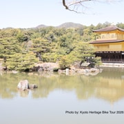Kyoto: E-Bike Tour of Palace, Castle, Temples & Hidden Gems