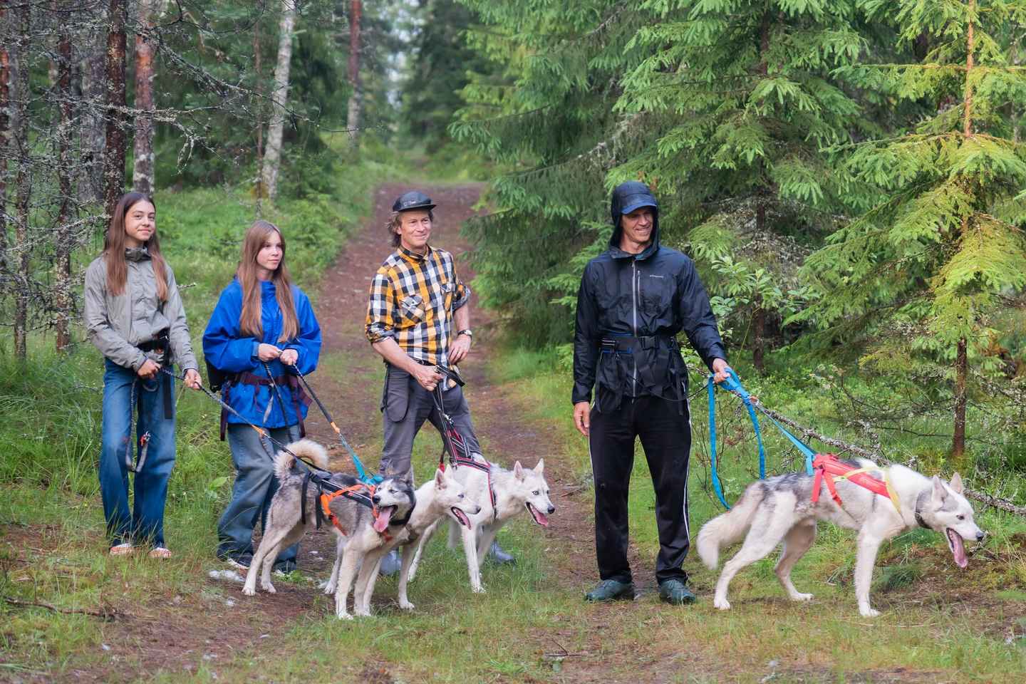 From Tallinn: Husky Park Tour with Cani-Cross Hike