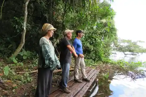 Amazônia boliviana: 3 dias, Madidi Nat. Madidi com árvores