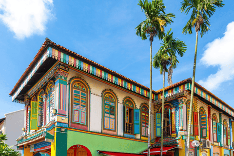 Singapore Chinatown, Kampong Glam,Little India Cultural Tour Singapore 3 Ethnic Quarters - Harmony Discovery Tour