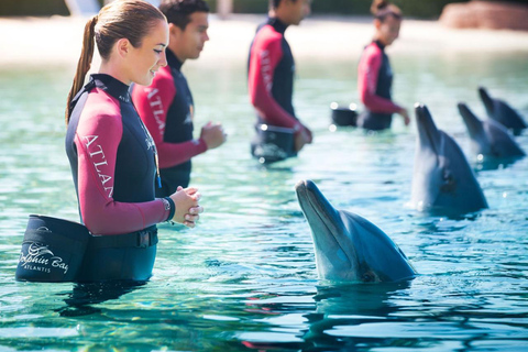 Dubaj: Aquaventure World – bilet łączony do parku wodnego i oceanariumDubaj: Atlantis Aquaventure i Lost Chambers Aquarium Combo