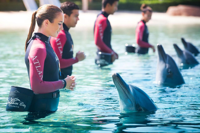 Dubaj: Aquaventure World – bilet łączony do parku wodnego i oceanariumDubaj: Atlantis Aquaventure i Lost Chambers Aquarium Combo