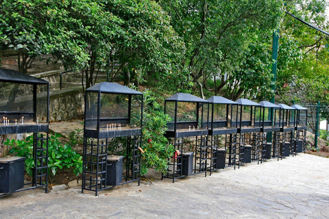 Smirne: tour per gruppi piccoli a Efeso con pranzoSmirne: tour per gruppi piccoli di Efeso con pranzo