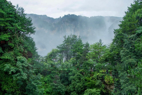 3-Day Zhangjiajie Highlights, Tea & Culture Small Group Tour Private Tour