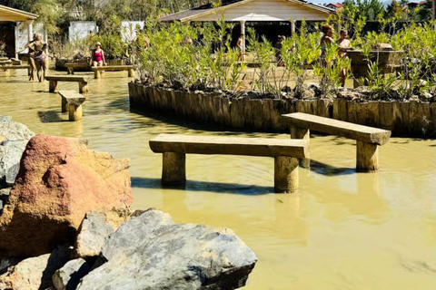 Fethiye: Dalyan Day Trip with Mud Bath and Turtle Beach