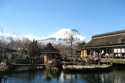 Visite privée personnalisée au Mont Fuji