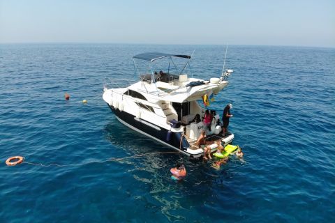 Puerto de Mogan : Dolphin boat trip