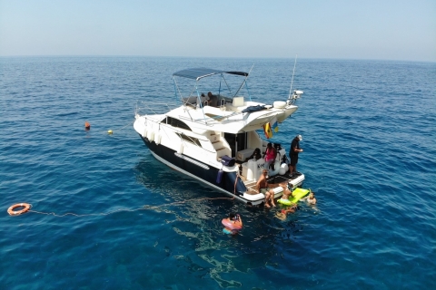 Puerto de Mogan: DolfijnenboottochtGedeelde activiteit vanuit Puerto de Mogan