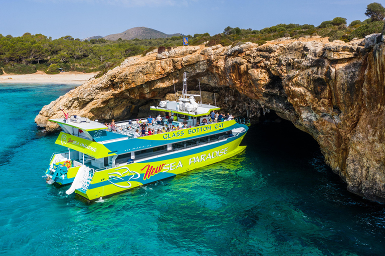 From Sa Coma: East Coast Glass Bottom Boat Trip New Sea Paradise - From Sa Coma 3-Hour Boat Ride