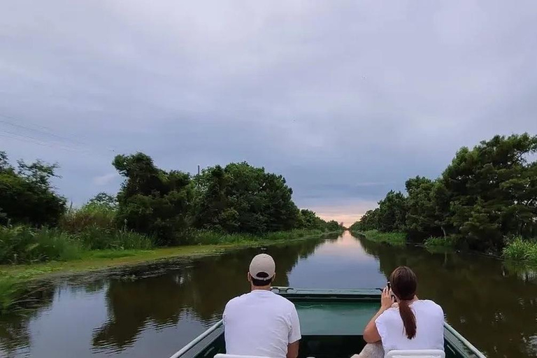 New Orleans: Signature Swamp Eco Tour with Local Guide Signature Swamp Private Eco Tour with Transportation