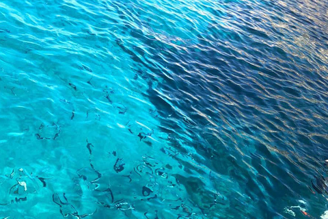 Marseille: Calanques Nationaal Park Eco-vriendelijke boot ...