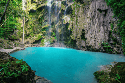 Oslob: Tubarões-baleia, cachoeiras de Tumalog e excursão particular com macacosOslob: excursão privada aos tubarões-baleia, às cataratas de Tumalog e aos macacos