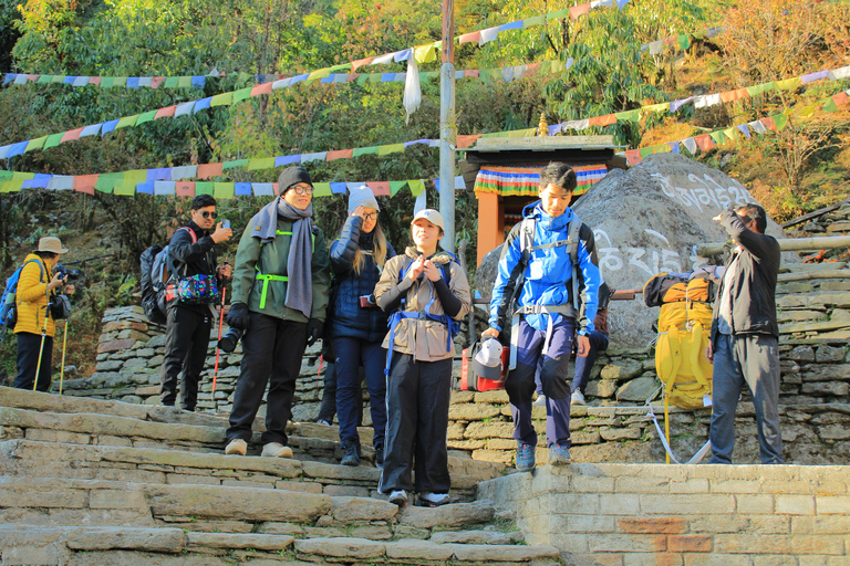 Excursão de helicóptero ao Campo Base de Annapurna