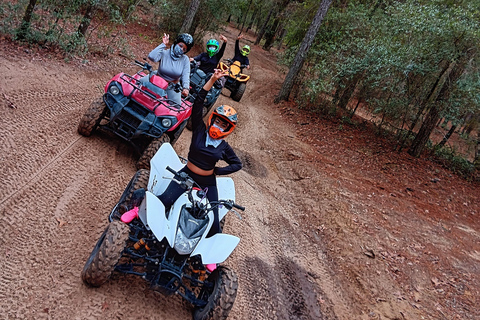 Tampa: ATV Riding Tours