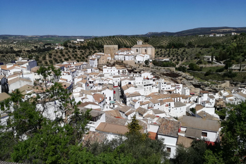 Villages blancs et Ronda : Excursion d&#039;une journée depuis SévilleRéunion à Torre del Oro