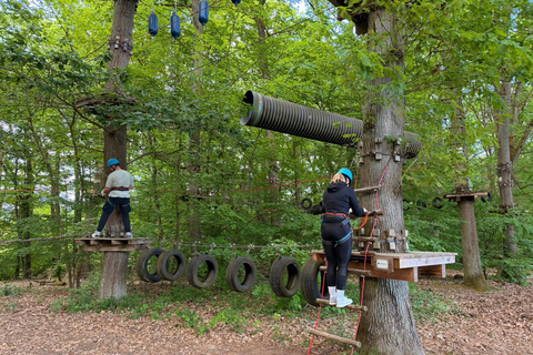 Kelkheim: Outdoor climbing experience in the forest ropes course with circuit and zip lines