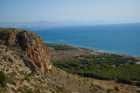 Torrevieja: Local Market and Panoramic Tour