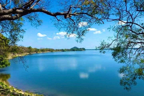 Polonnaruwa to Anuradhapura Transfer with Sightseeing Stops