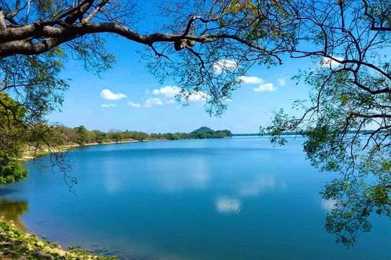 Polonnaruwa to Anuradhapura Transfer with Sightseeing Stops