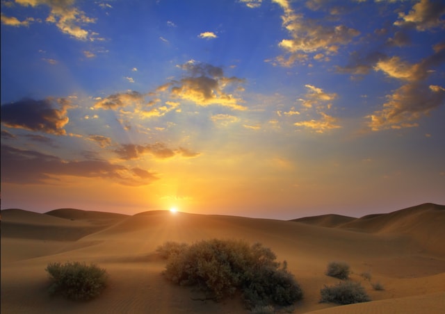 Sunrise : Privare Dune Bashing, Camel Ride & Sandboarding
