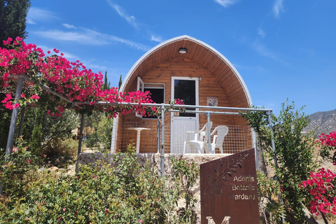 Myths, Waves & Wine: Cyprus in a Day