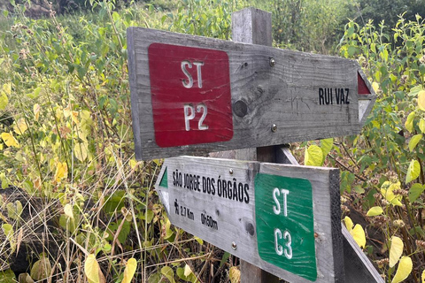 Rui Vaz Scenic Hike and Botanical Garden Stop