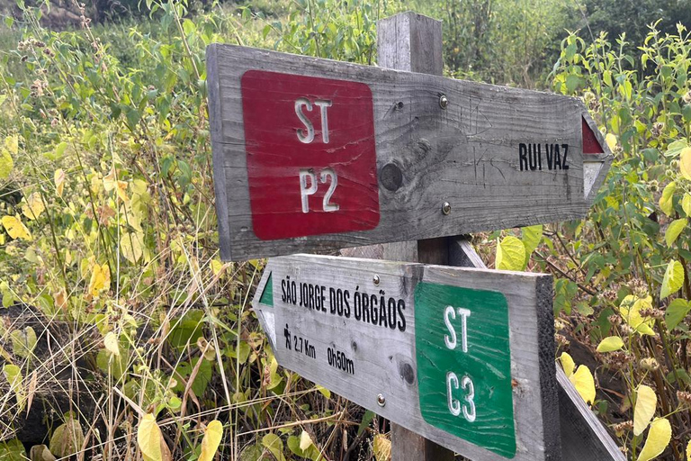 Rui Vaz Scenic Hike and Botanical Garden Stop