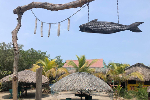 Private: Rural & Urban Dominican Life Tour: Flavors, Fields