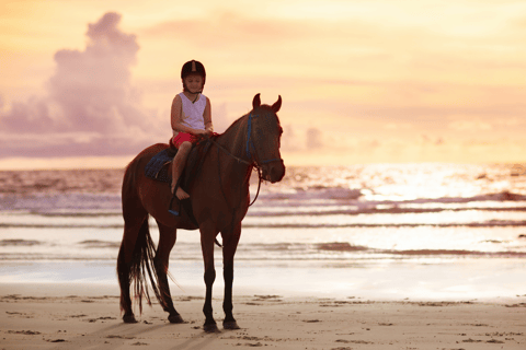 Gili Trawangan: Passeggiata a cavallo sulla spiaggia con trasferimento in hotel