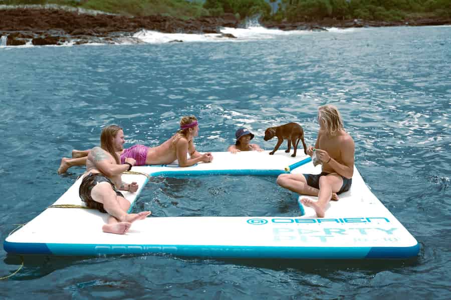 Kona Nachmittags-Delfinbeobachtung & Schnorcheln auf Big Island. Foto: GetYourGuide