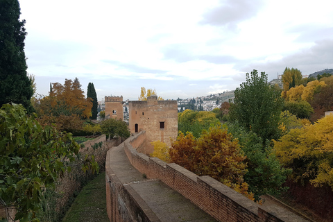 Alhambra: szybkie zwiedzanie ogrodów Generalife i AlcazabyAlhambra: ogrody Generalife i Alcazaba w trybie przyspieszonym