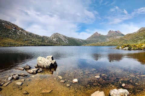 Tasmanië: 6-daagse natuurtour vanuit HobartMotel Tweepersoonskamer