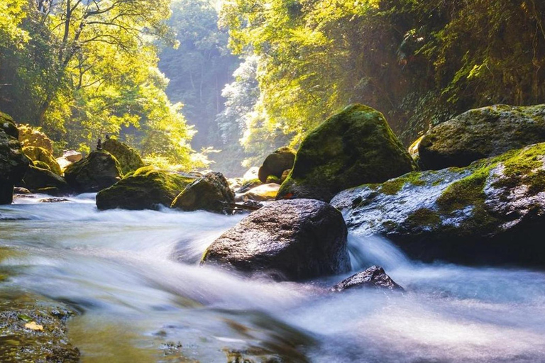 Fukuoka: Takachiho Gorge & Scenic Railway One Day Tour Limited-Time One-Day Tour (Excluding Admission Fees)